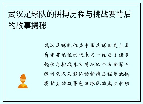 武汉足球队的拼搏历程与挑战赛背后的故事揭秘