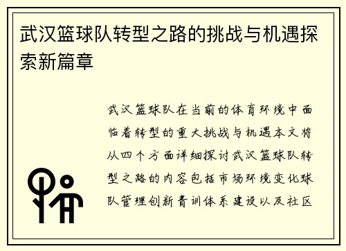 武汉篮球队转型之路的挑战与机遇探索新篇章